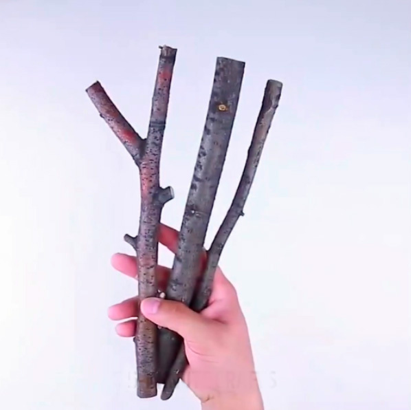 Ветки дерева