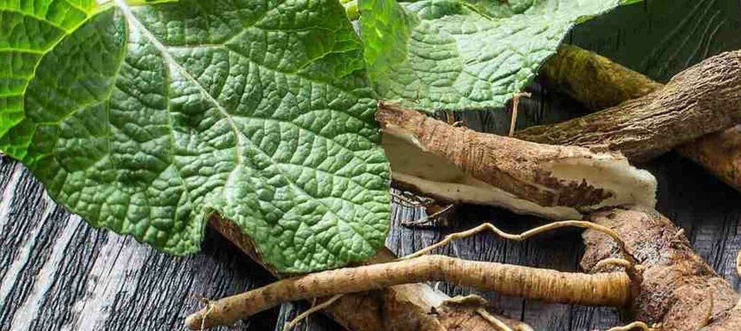 Фото взято из свободных источников сети Интернет