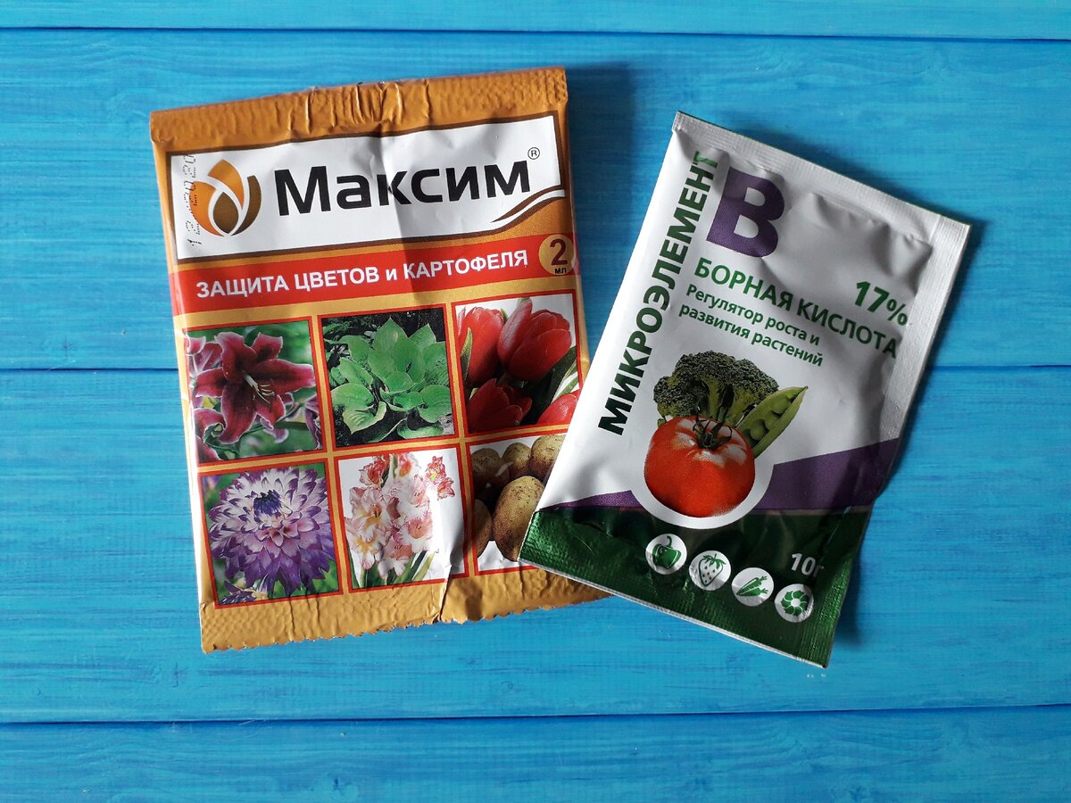 Эти препараты также входят в мою "зелёную аптечку"