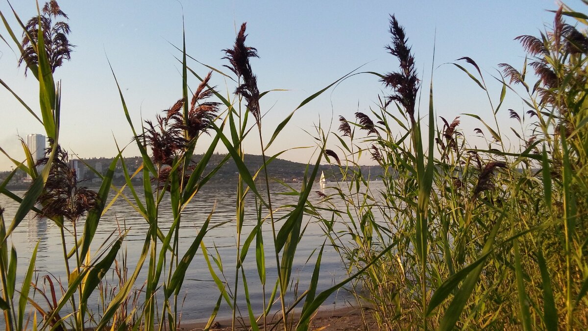 Фото автора.  