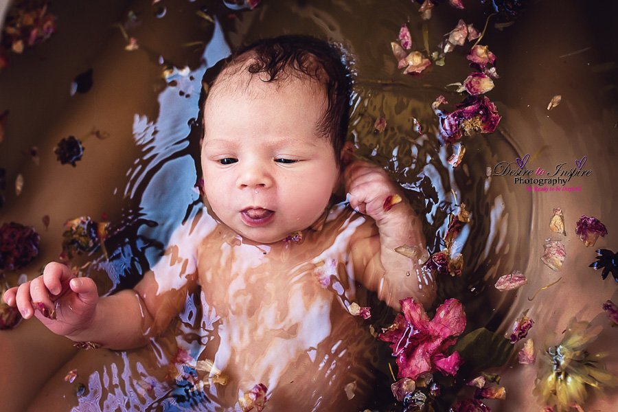Купание грудничка. Фото birthphotographybrisbane.com.au