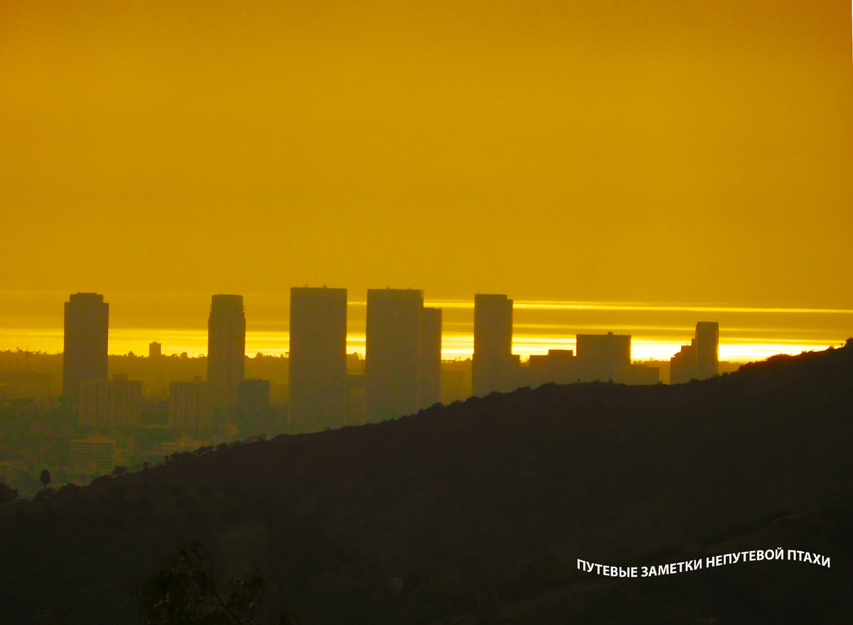 Вид на деловой центр Лос-Анджелеса с Голливудских холмов. Фото автора.