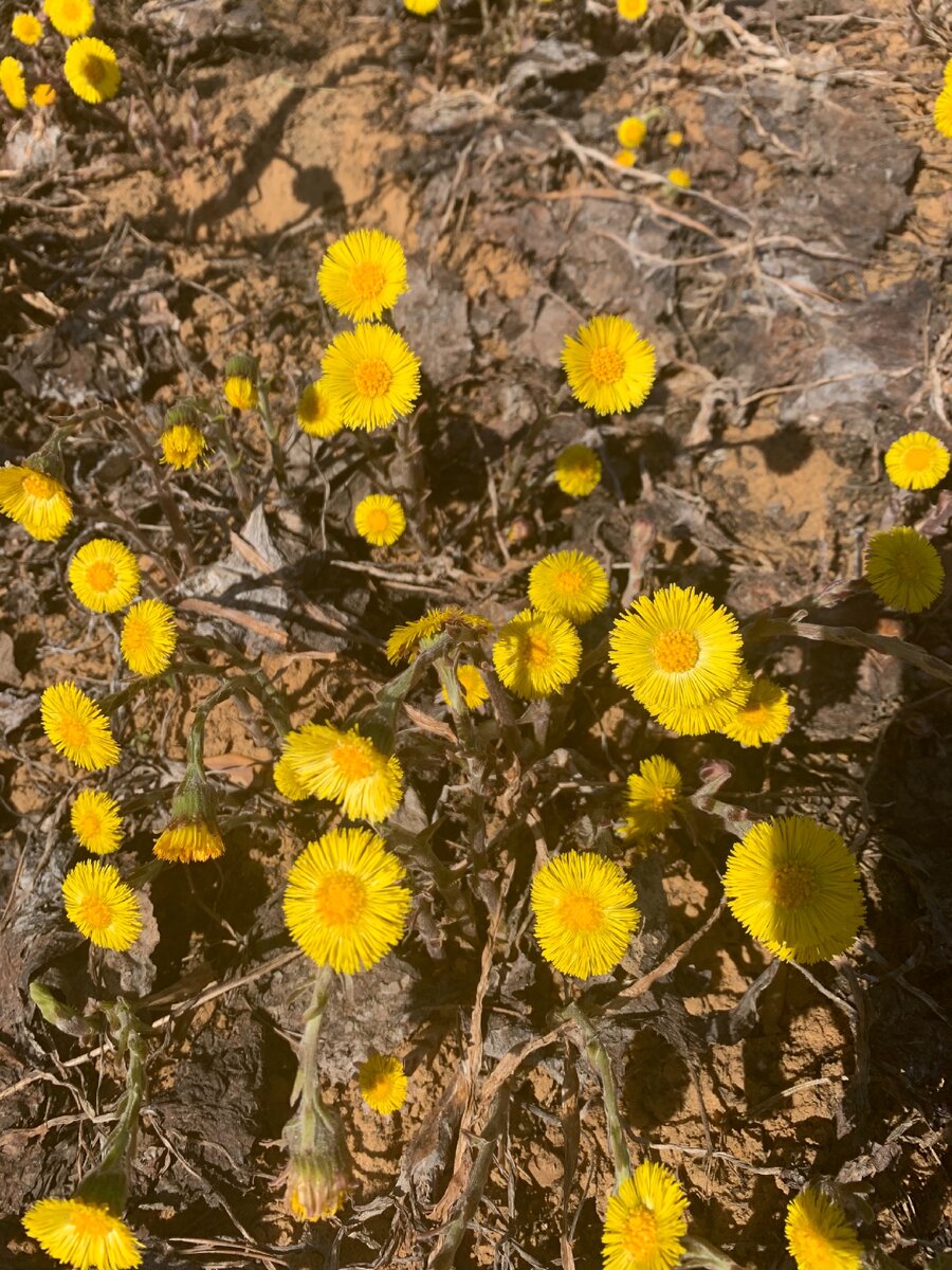 авторское фото