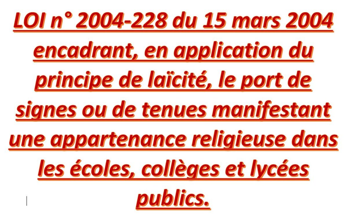 Французское название закона 2004-288. 