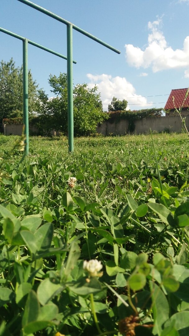 Яндекс Дзен