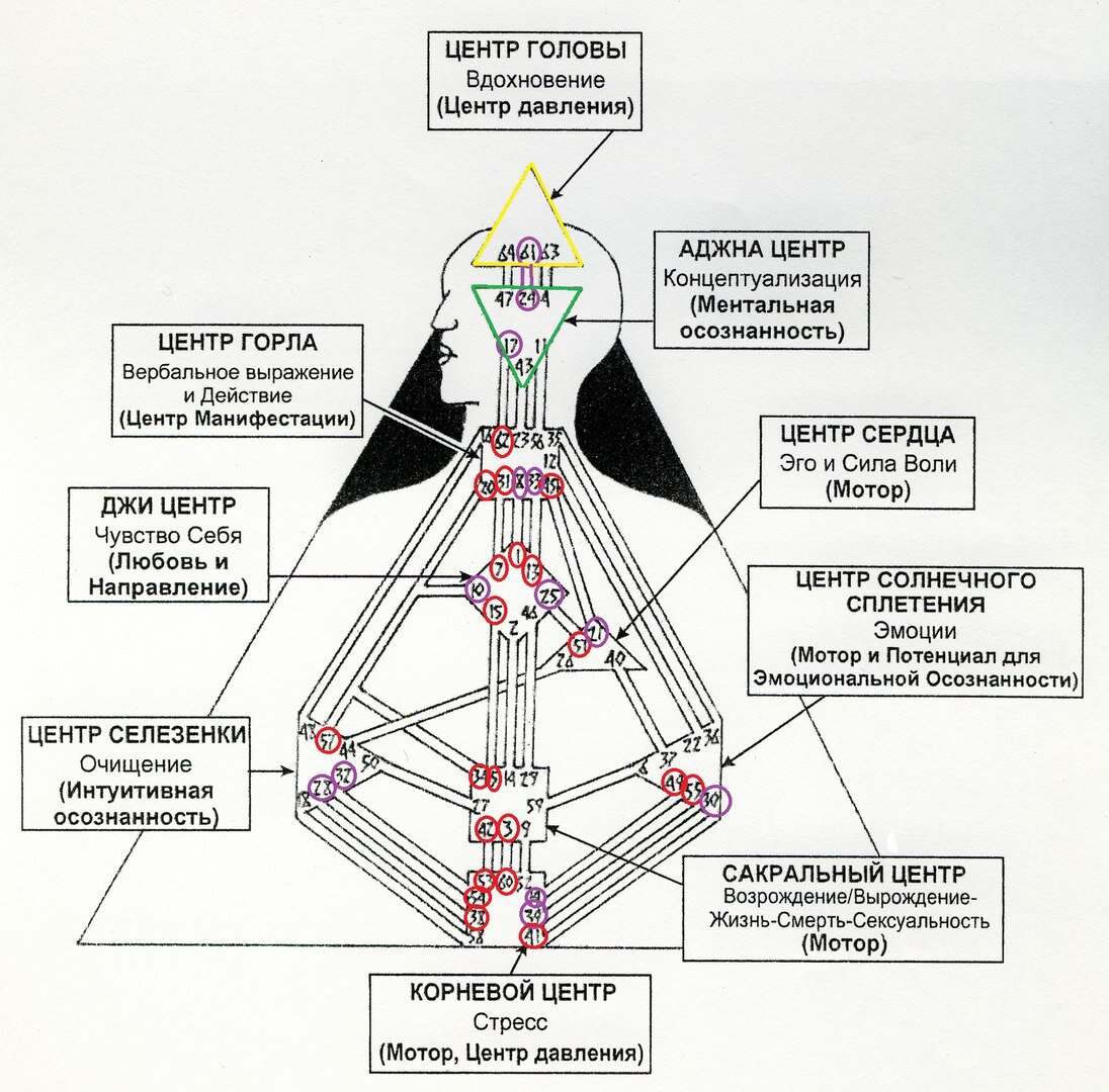 Расчет рейв. Дизайн человека центры бодиграфа. Энергетические центры человека бодиграф. Дизайн человека центры бодиграфа описание. Центры бодиграфа расшифровка.