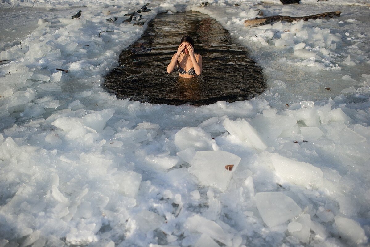 яндекс картинки