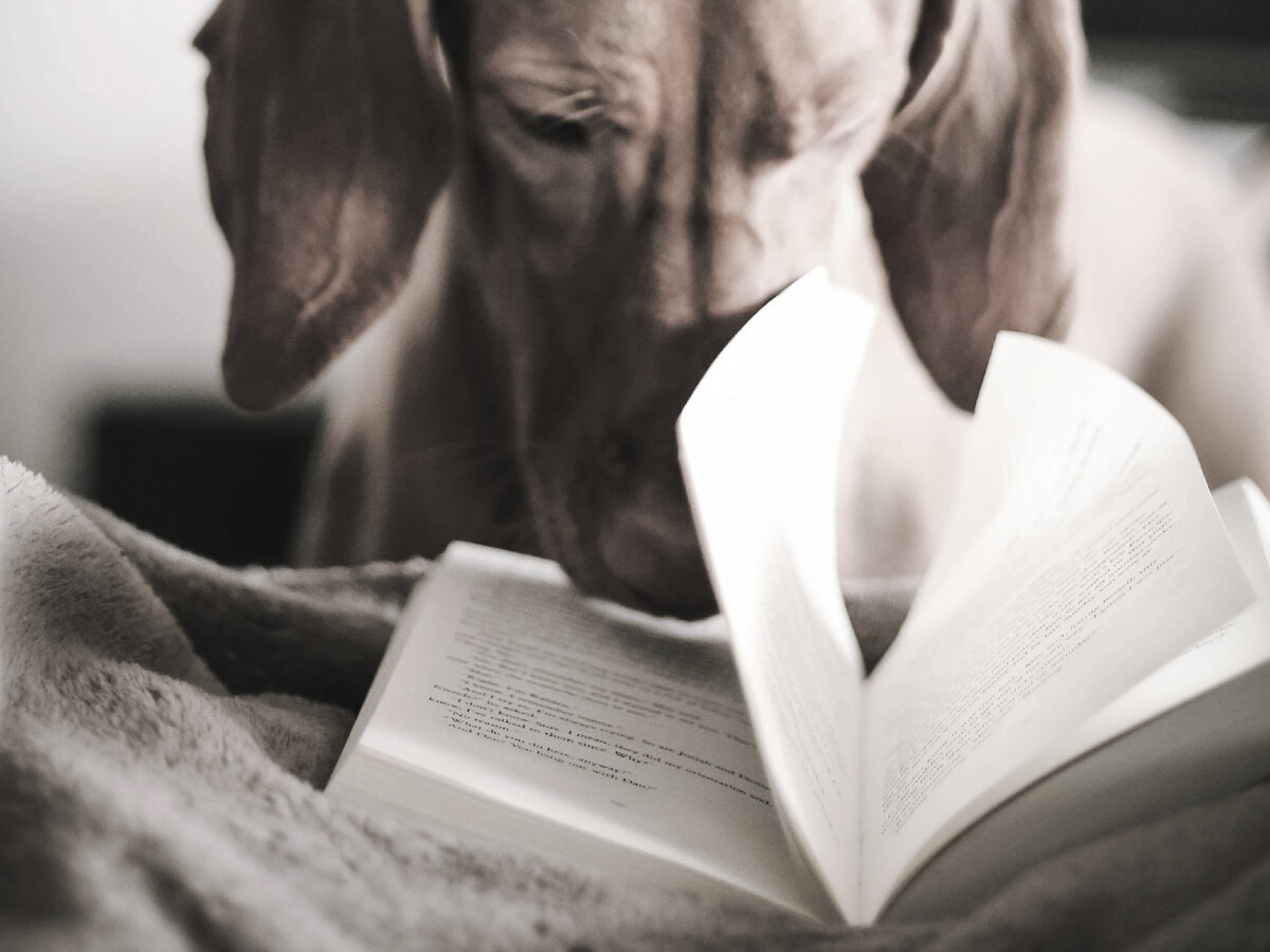 Источник: unsplash.com