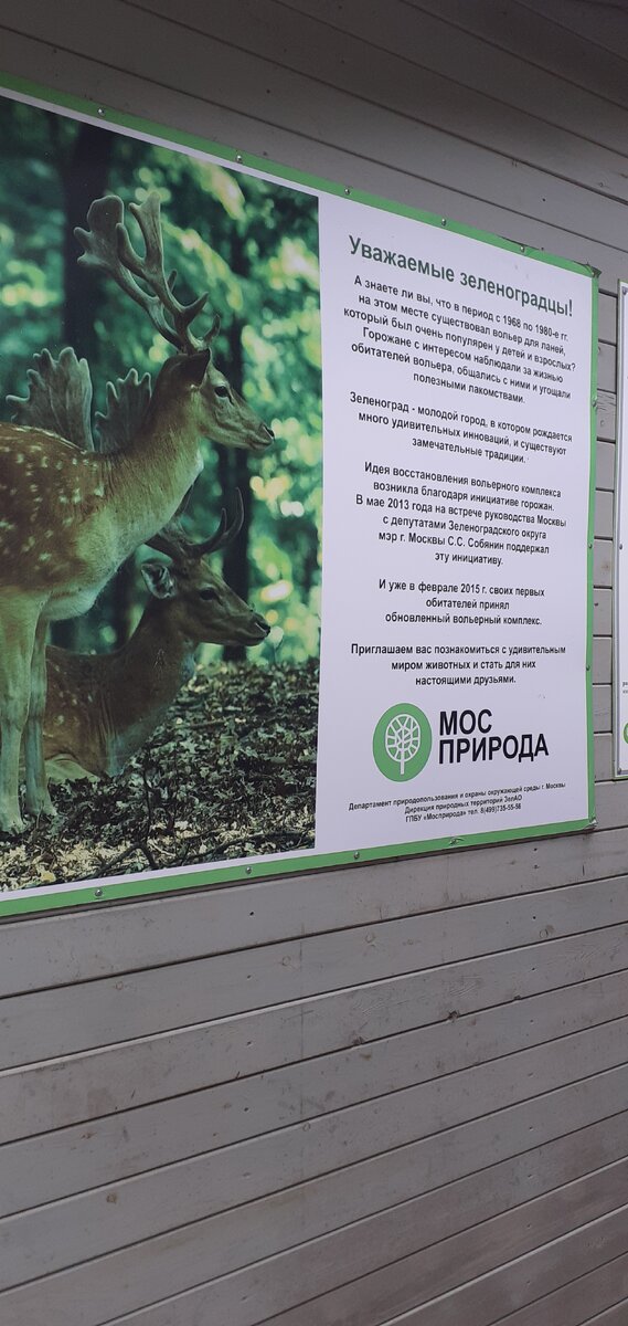 Дом лани. Зеленоград