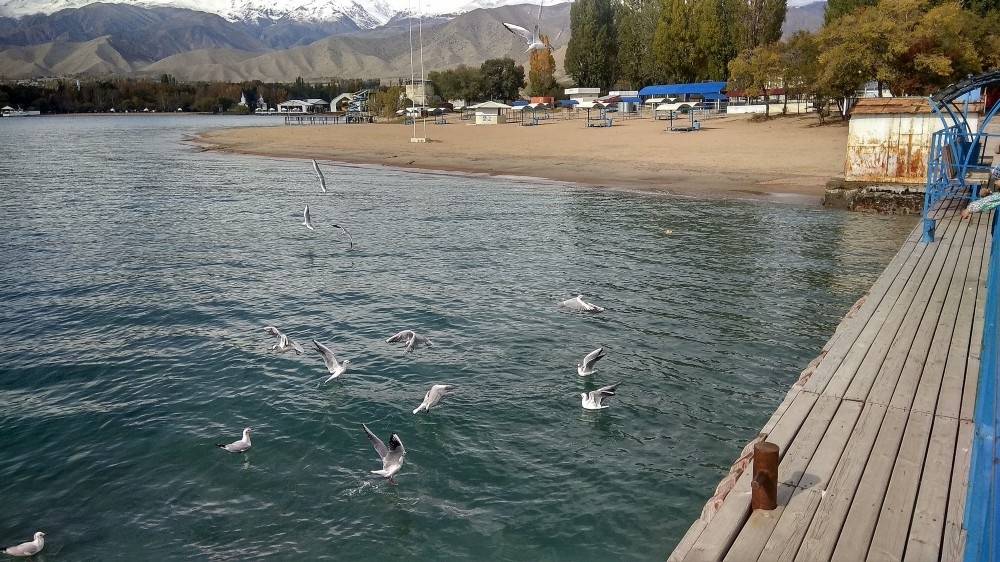 подишись на канал