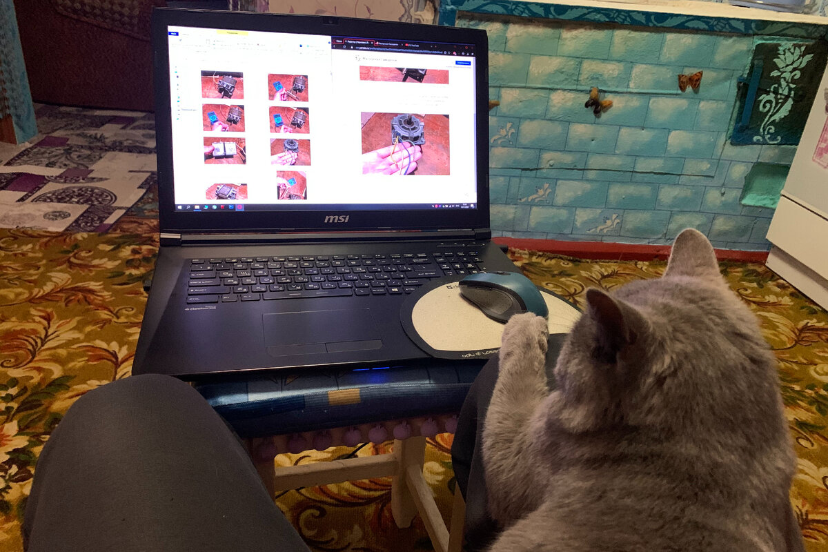 Я со своим котом думаем как максимально раскрыть тему статьи.