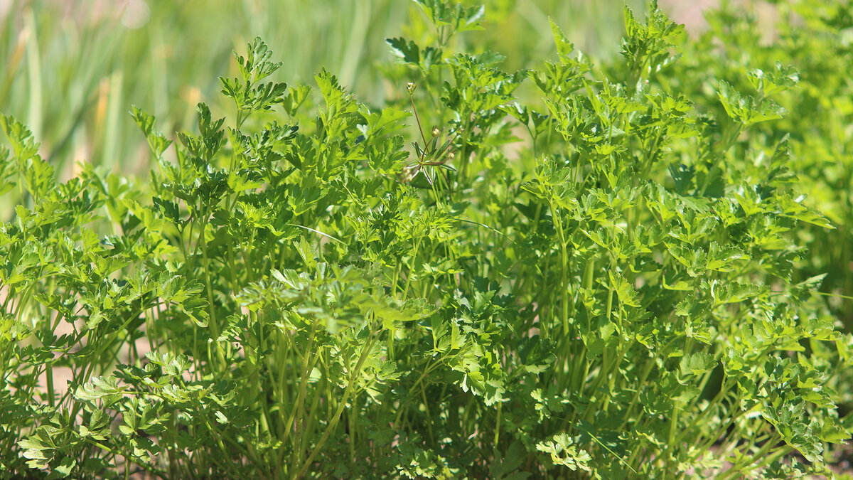 Фото: Global Look Press/Maksim Konstantinov