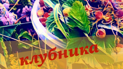 Невидимые обабки 🍄🍄🍄и НЕВИДАННАЯ КЛУБНИКА.🍓🍓🍓