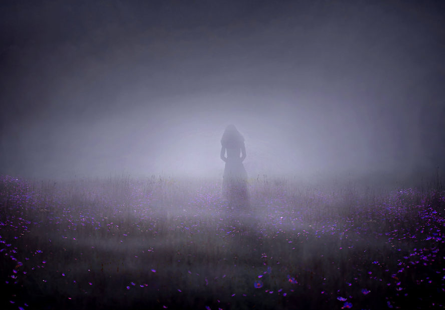 Фото из интернета