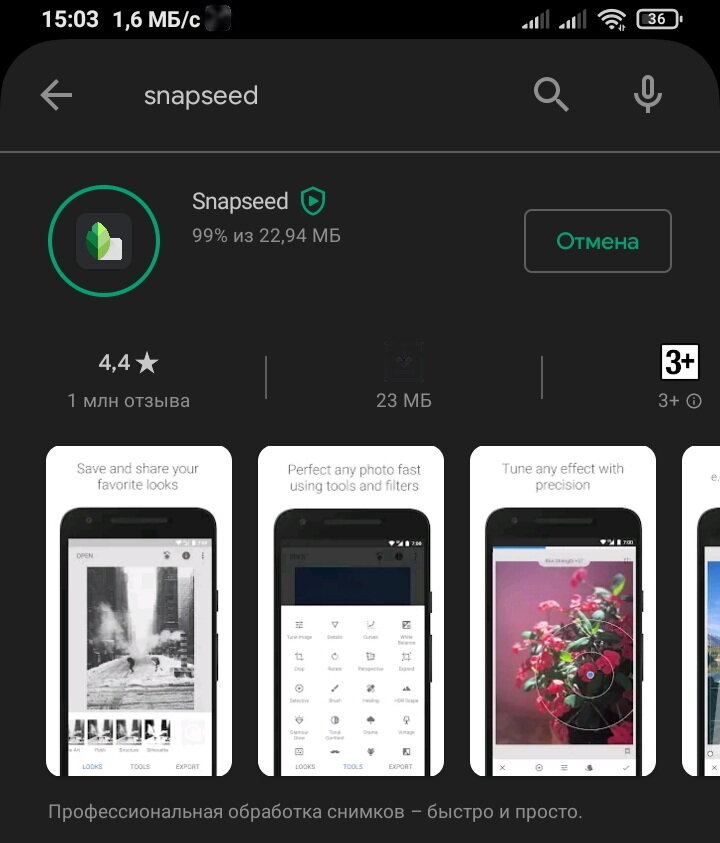 скриншот автора