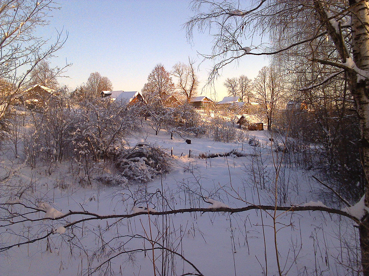 Как подсчитали организаторы, в конкурсе приняли участие более 50 000 жителей региона — они встречали жюри в деревнях, голосовали за понравившихся кандидатов в интернете