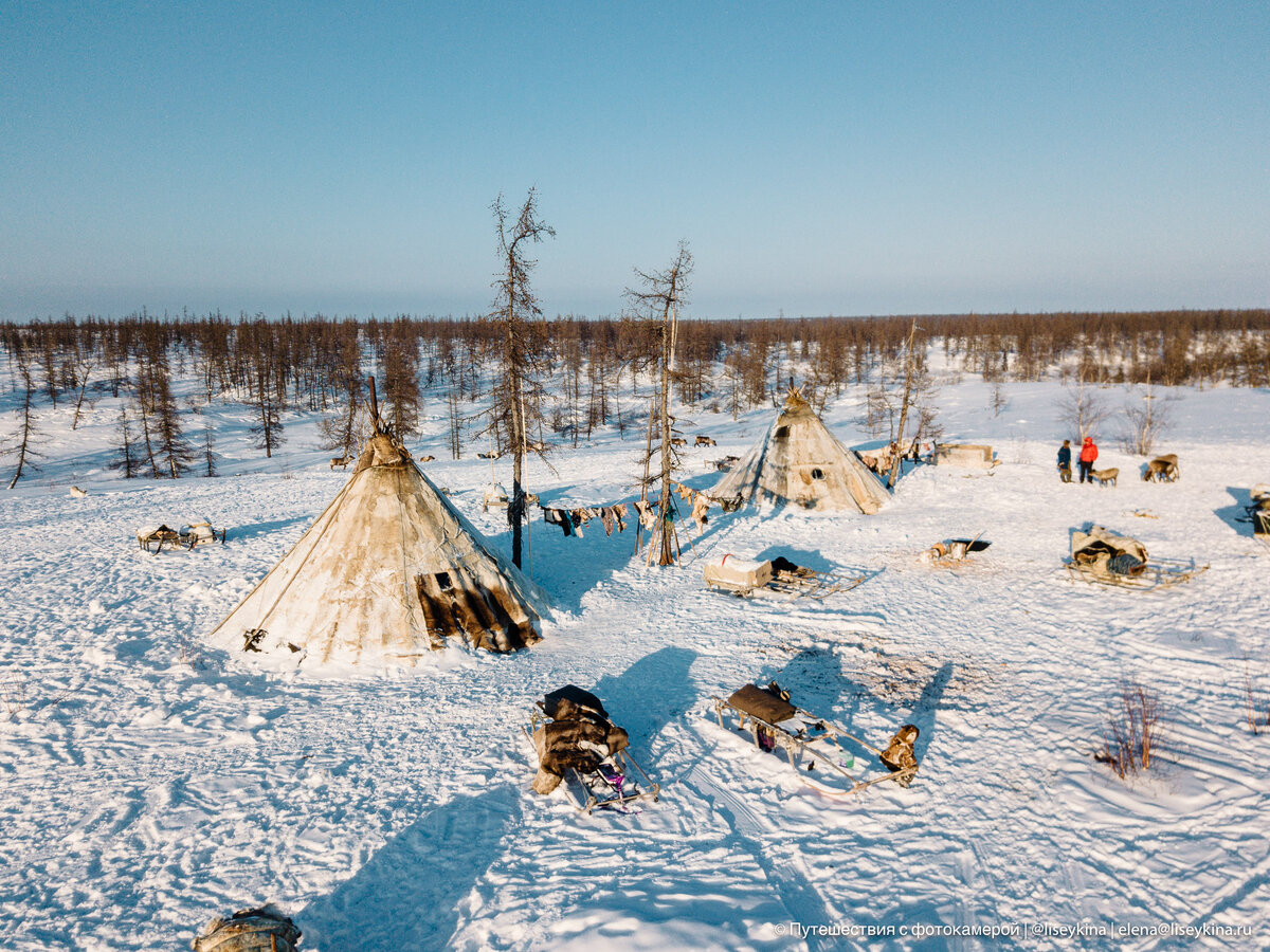 Тундра село Никольское