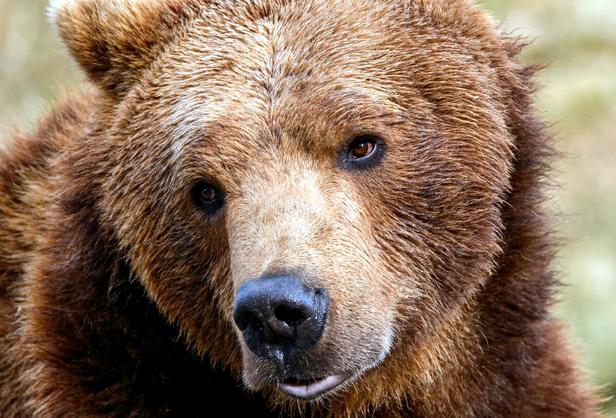 Фото автора Nicky Pe: Pexels