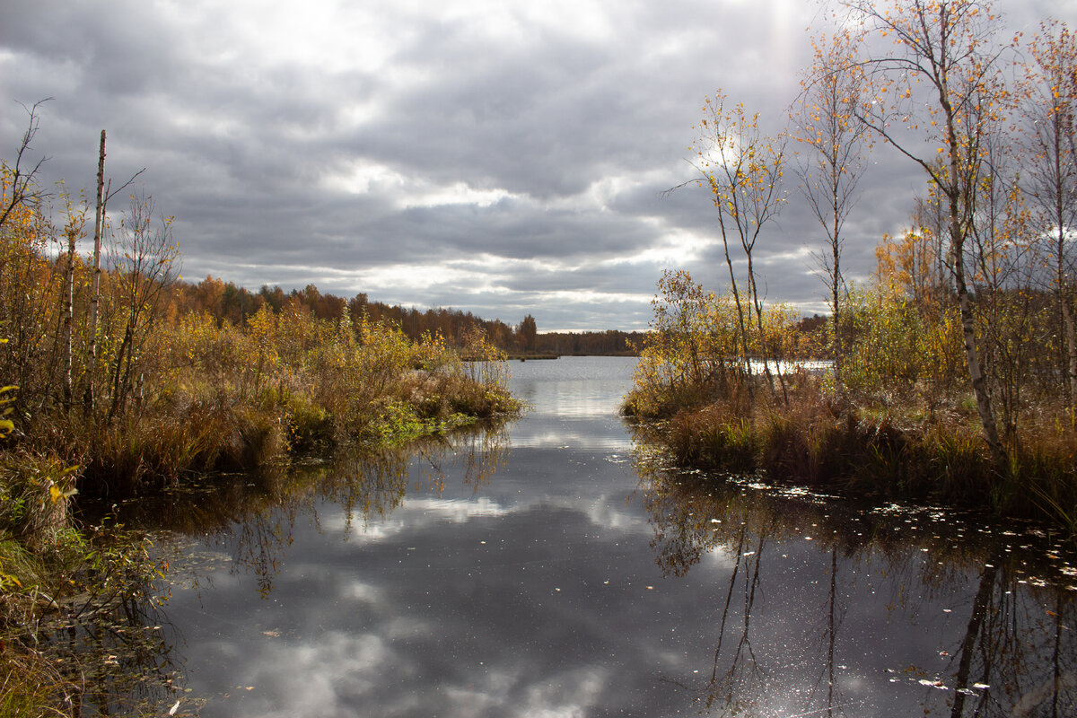 Видеоряд сопровождает музыкальная композиция автора Леонида Мокина: "Воспоминание", "Мелодия лета" Сьёмка футажа природы, монтаж и заключительная композиция "Фантазия" : Тюханов Дмитрий 