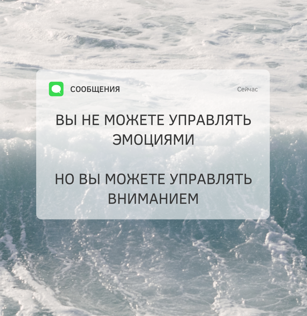 картинка сделана с помощью сервиса canva