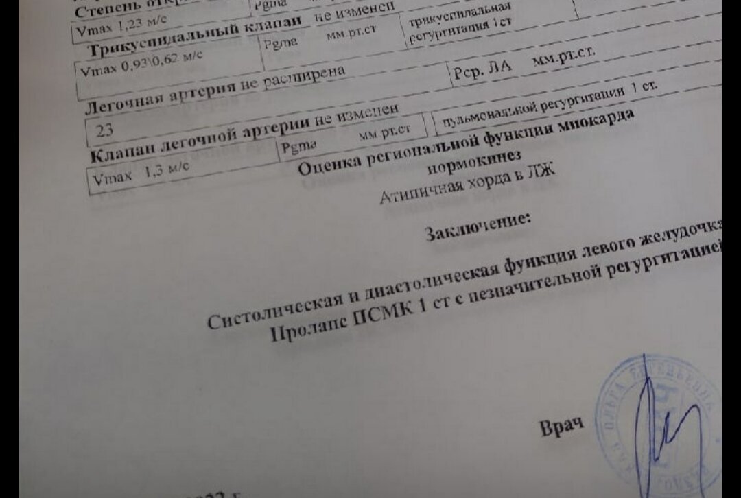 Кусочек заключения доктора