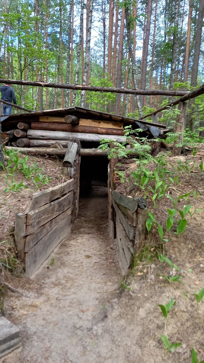 Орловское полесье