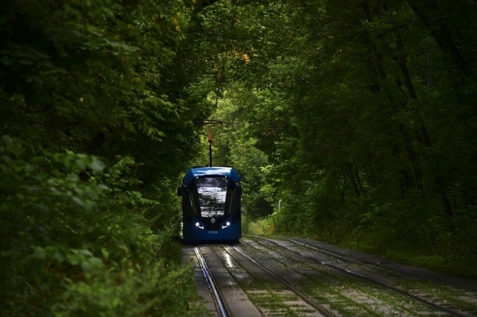     В Новосибирске на левом берегу временно изменят схему движения трамваев. Иван МАКЕЕВ