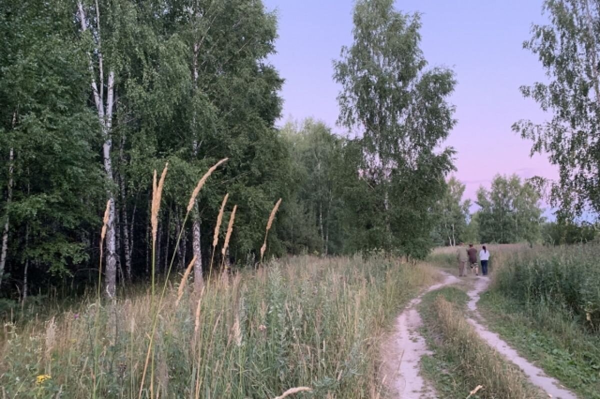    В Татарстане продлили запрет жителям посещать лес
