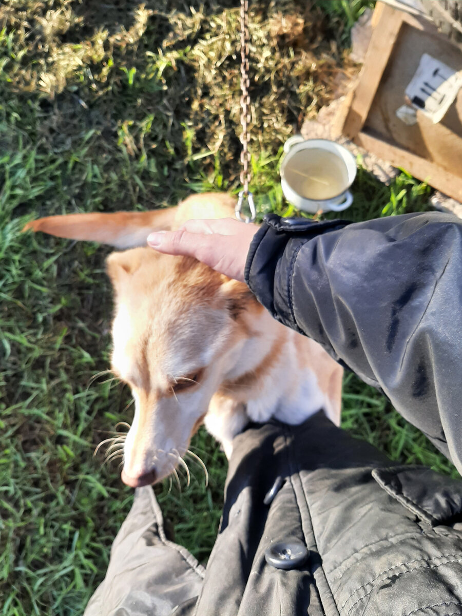 Пусть первой будет не первая фотография. 