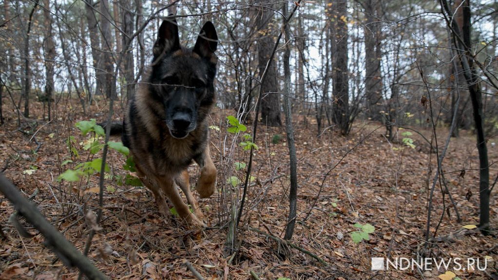    Фото из архива