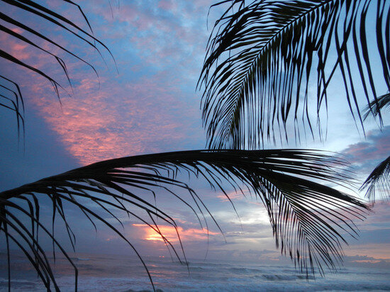   Лилия Шарловская