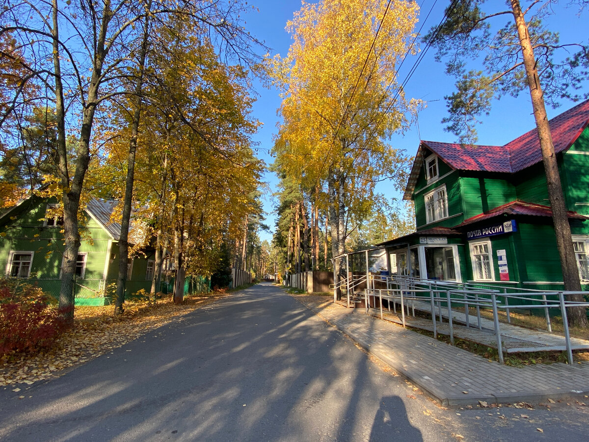 Пригороды Санкт-Петербурга: Комарово. Как добраться, что посмотреть и  почему я советую туда съездить | ОтЛичная Жизнь | Дзен