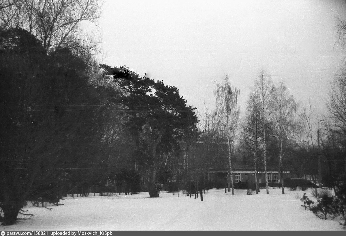 Серебряный бор  зимой https://yandex.ru/images/search?t