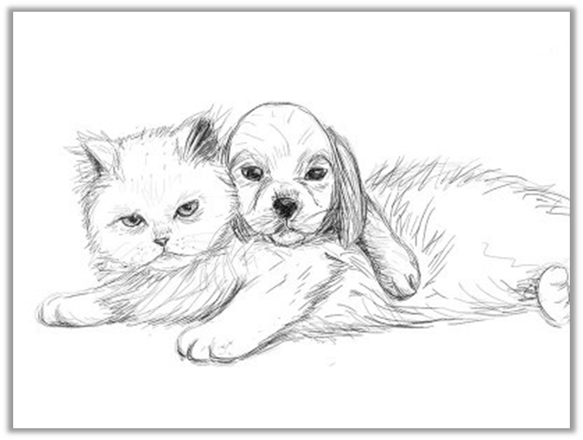 как нарисовать щенка и котенка