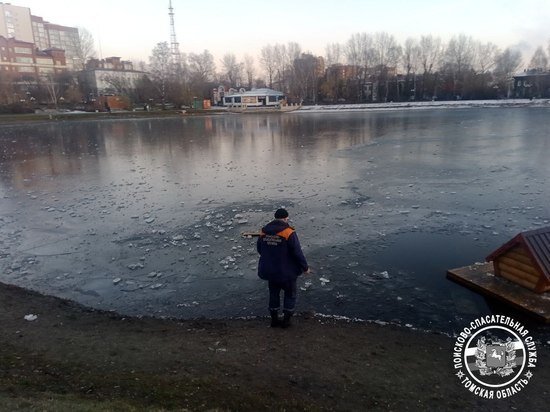     Фото: ТО ПСС