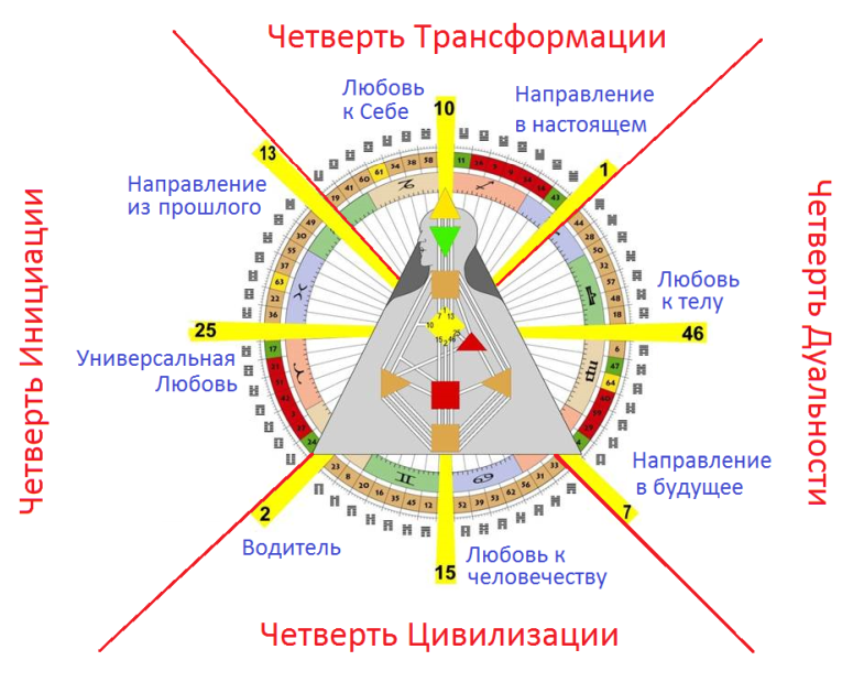 Дизайн человека