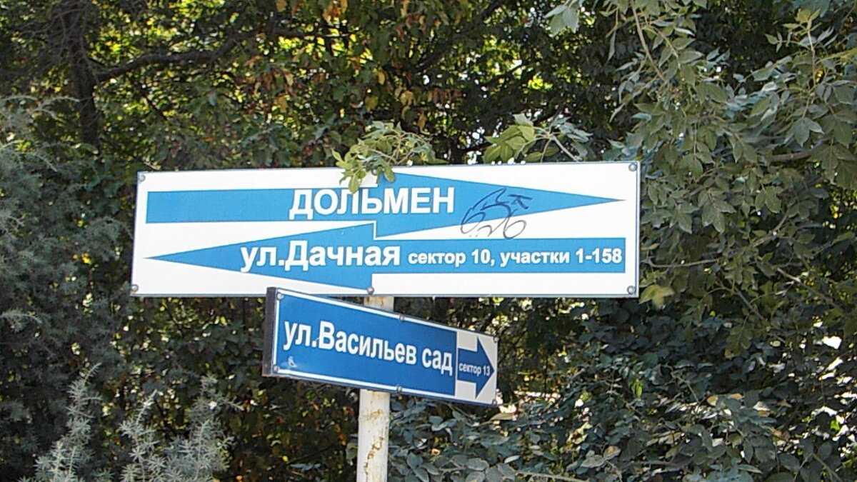 фото сделано автором этой статьи