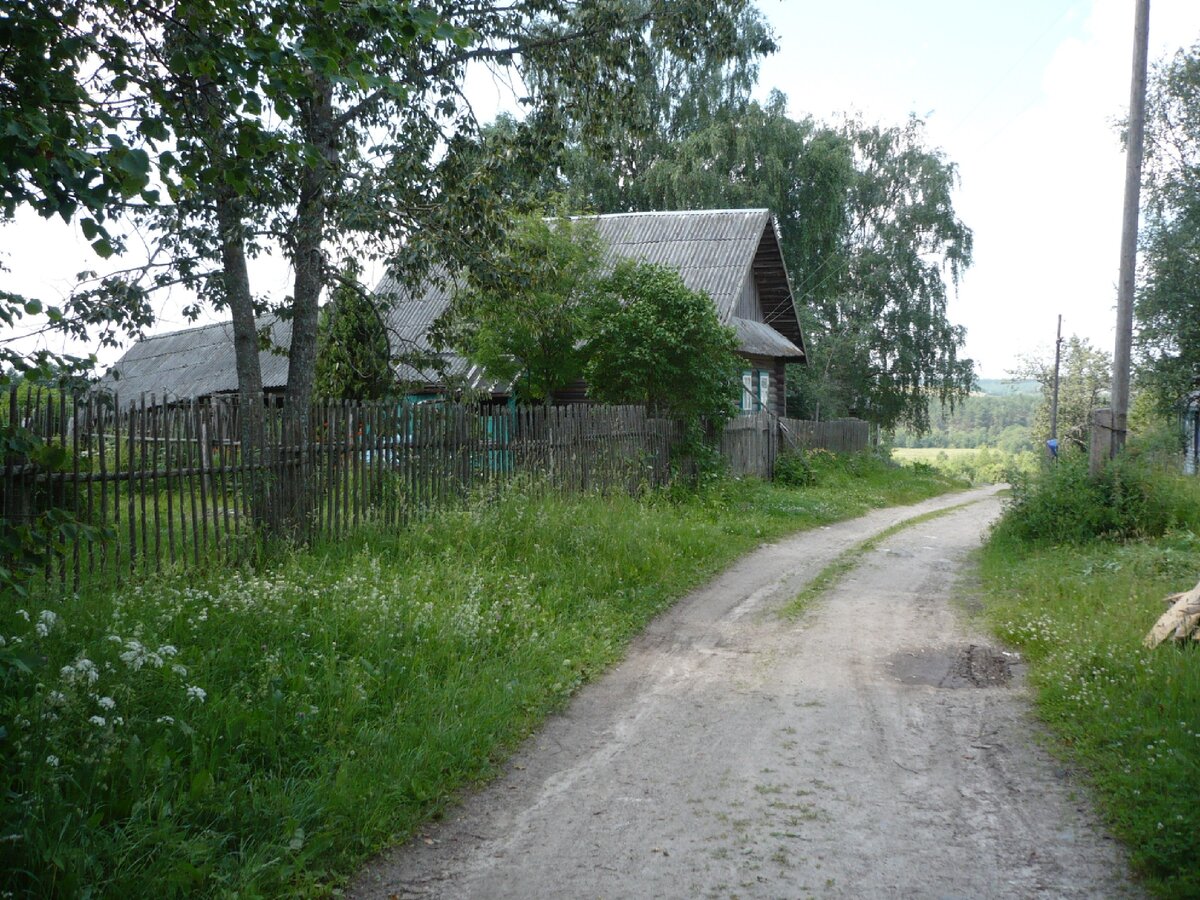 Мой дом. 2008 год. Листайте галерею