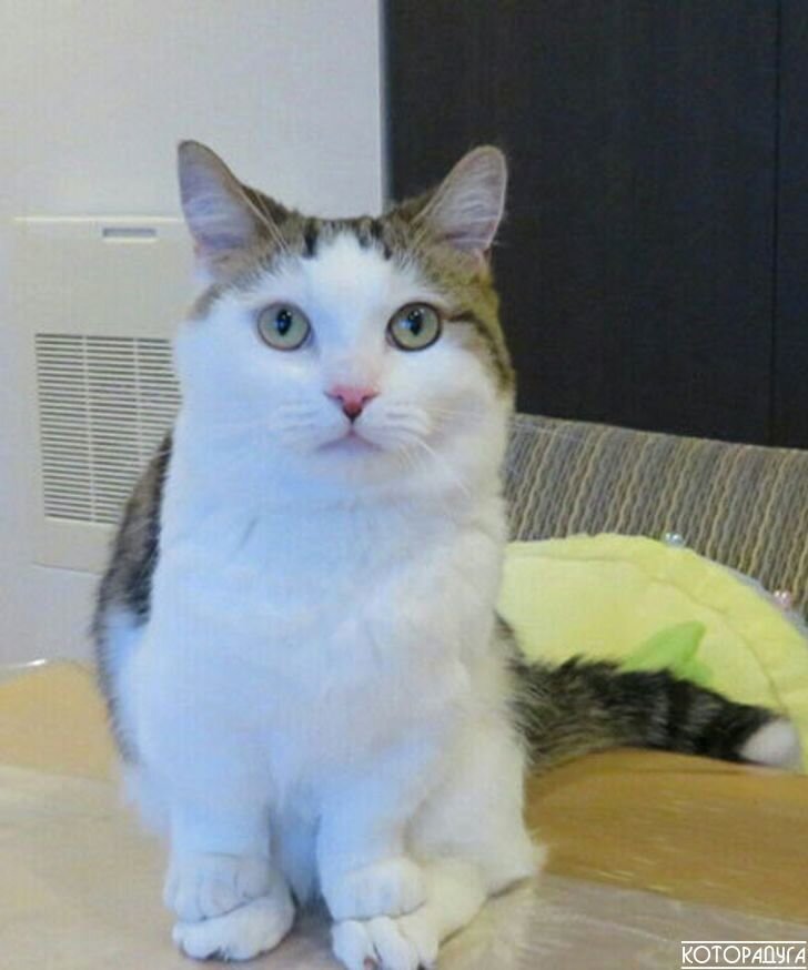 Источник: reddit.com