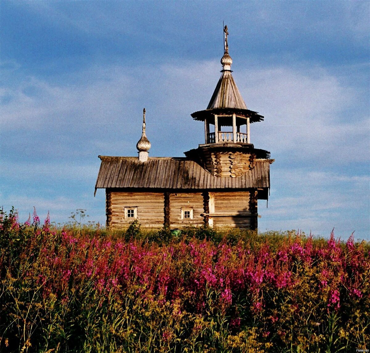 Фото: Яндекс