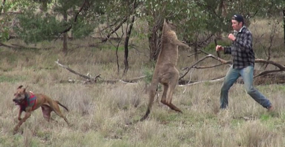 История происшествия