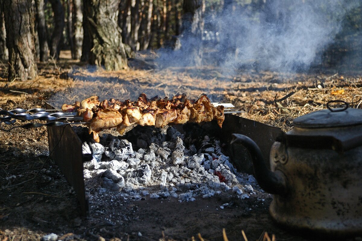 Шашлыки в лесу