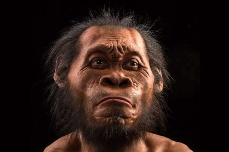 Так выглядели Homo naledi 