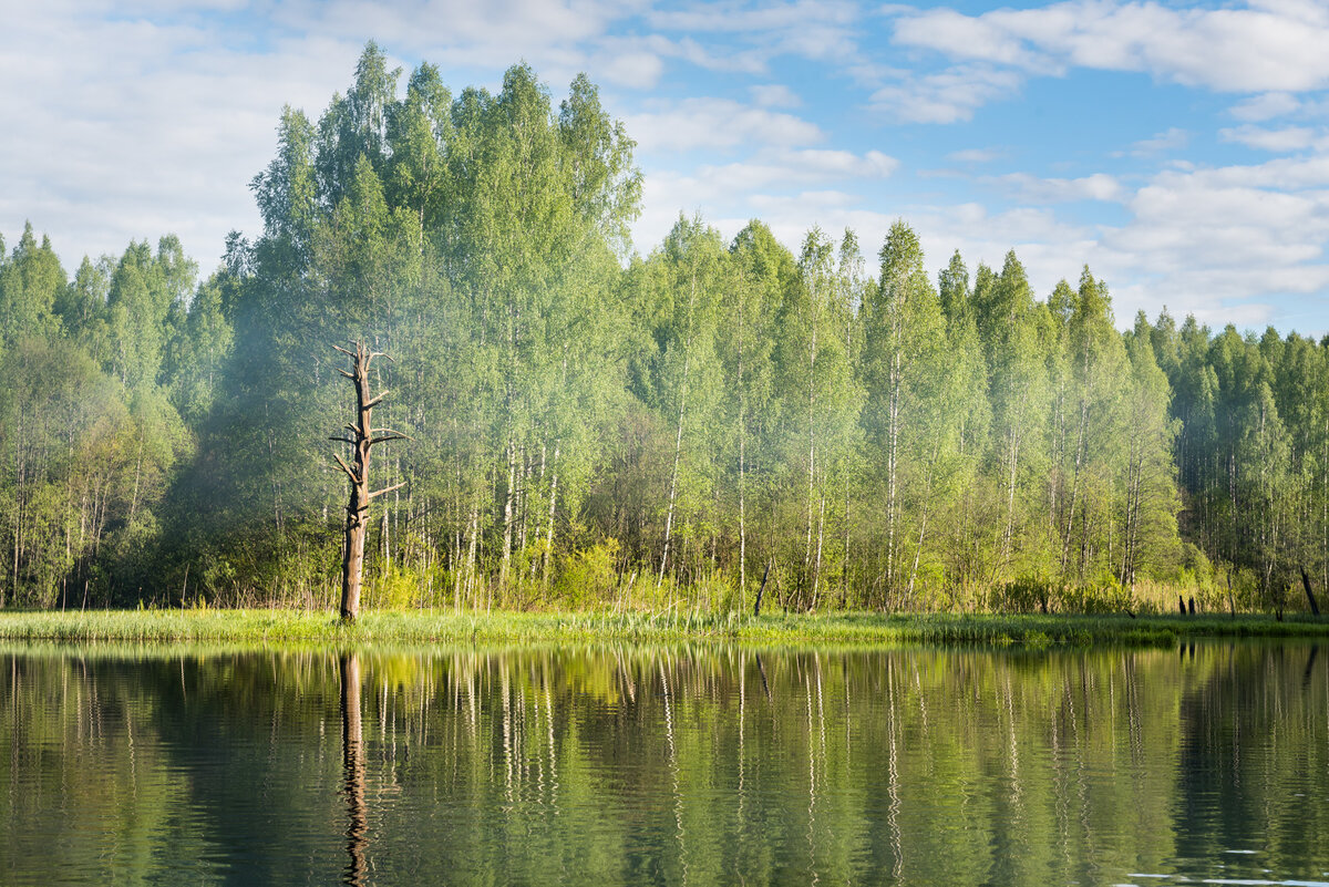 Несколько красивых фотографий из средней полосы России.