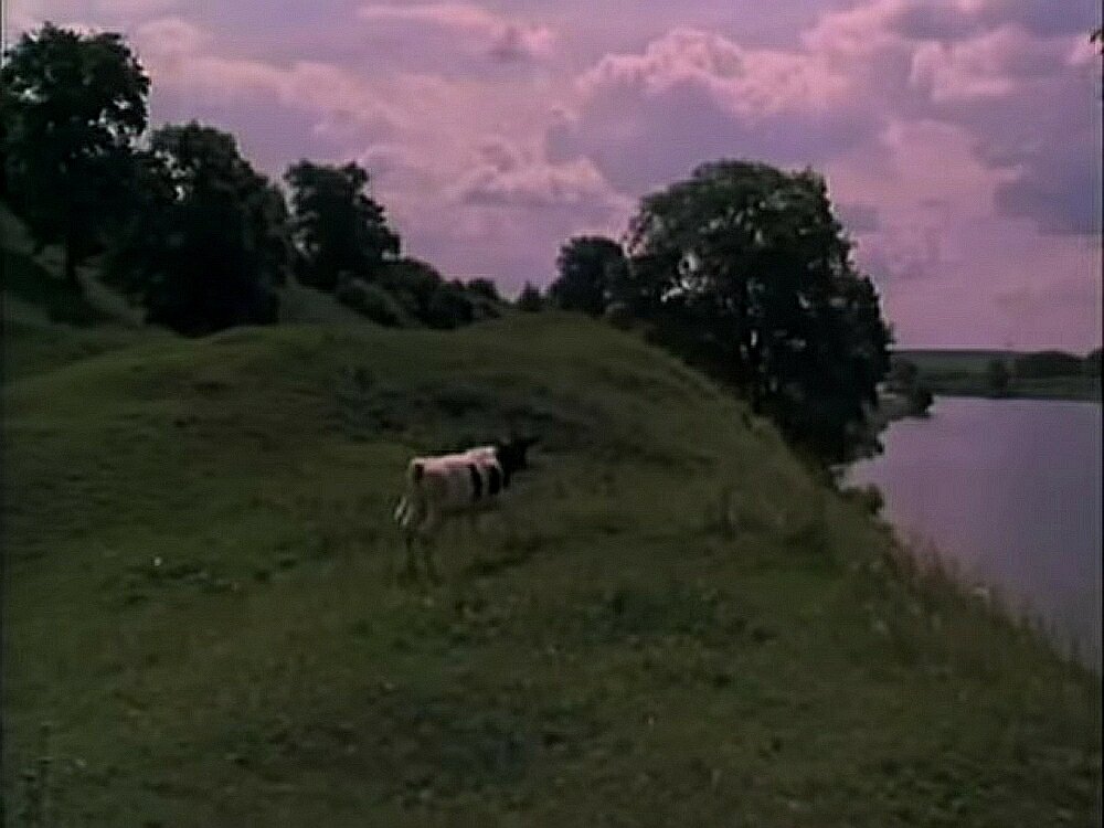 Ранним летним утром, еще и пяти часов нет, выскочил на берег речки в вятской деревне Дятьково  молодой теленок. Оглядывается, свежим воздухом дышит, новый для себя мир осматривает.