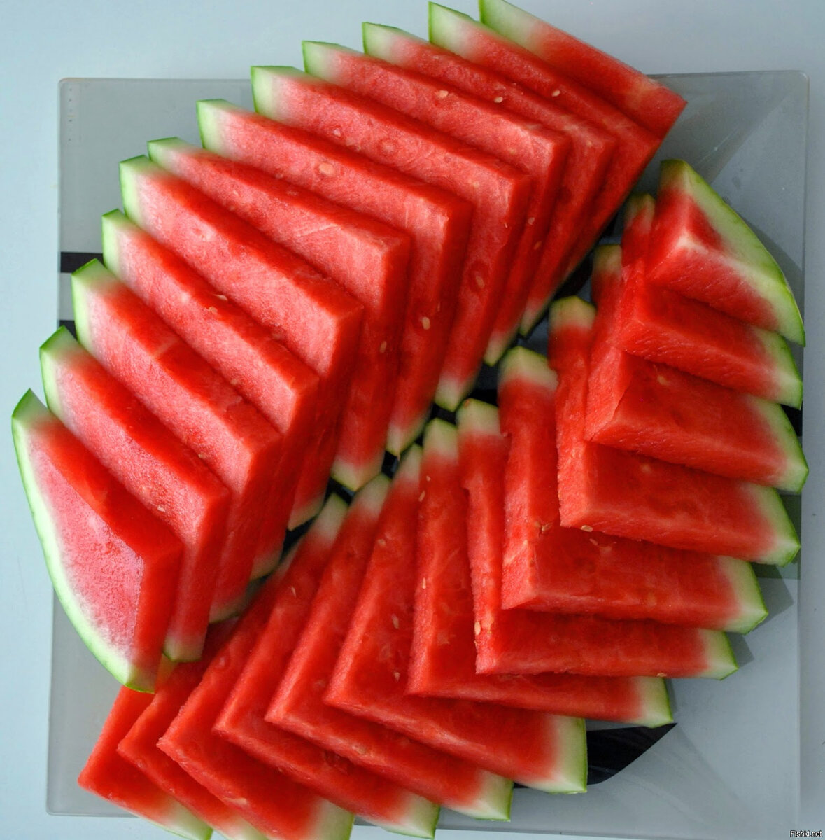 Фото взято с fishki. net