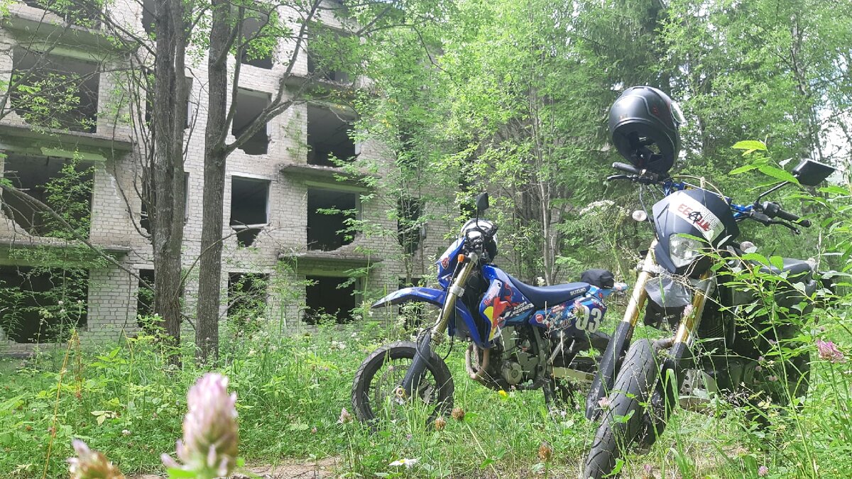 Два 4-этажных дома в глухом лесу