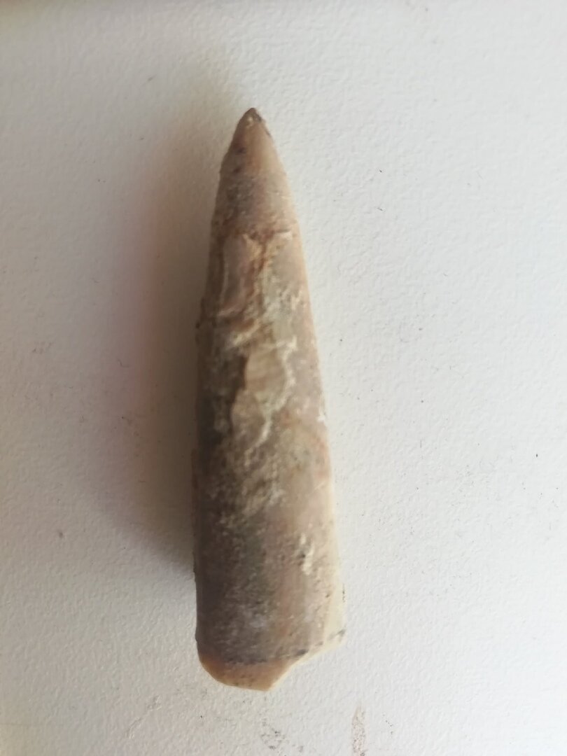 Не просто штука, а штука которой от 230 до 66 млн лет