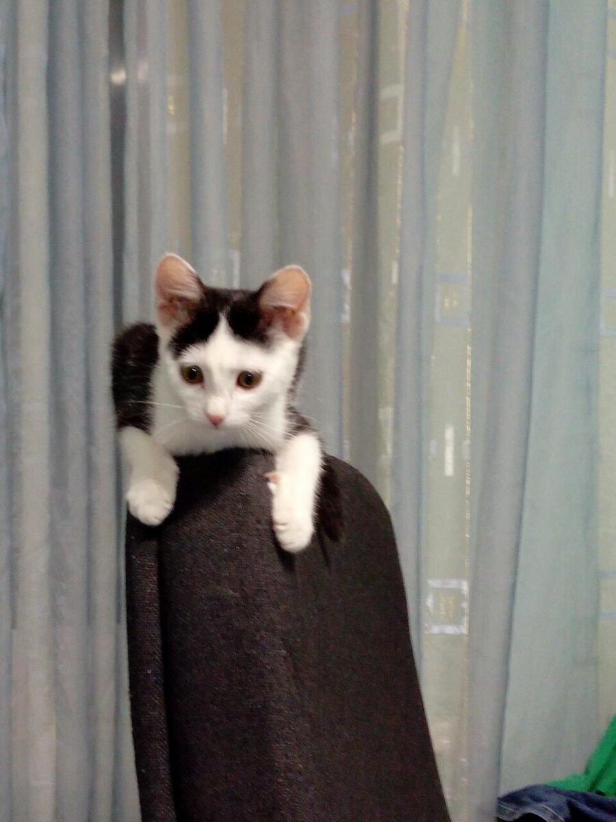 Марго месяц с небольшим