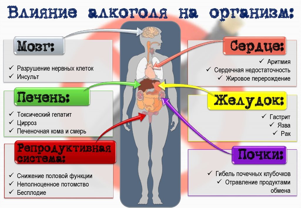 Связь между алкоголем и давлением: влияет ли алкоголь на давление?